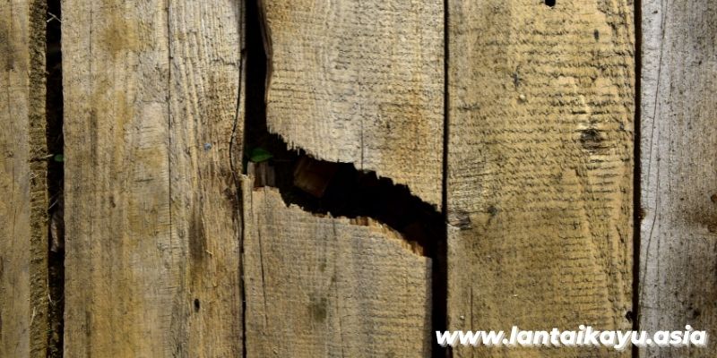 Cara memperbaiki parket kayu yang keropos