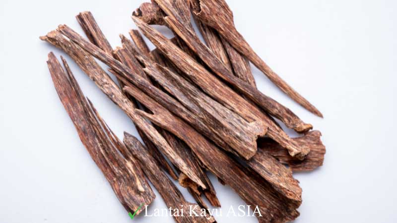 Mengapa Kayu Gaharu Menjadi Primadona di Pasar Global? 28 Harga kayu Gaharu