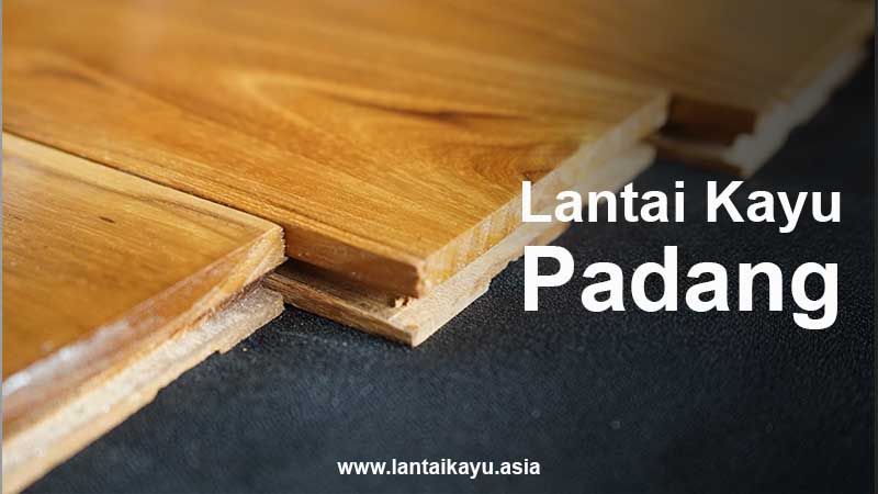 Jual lantai kayu padang