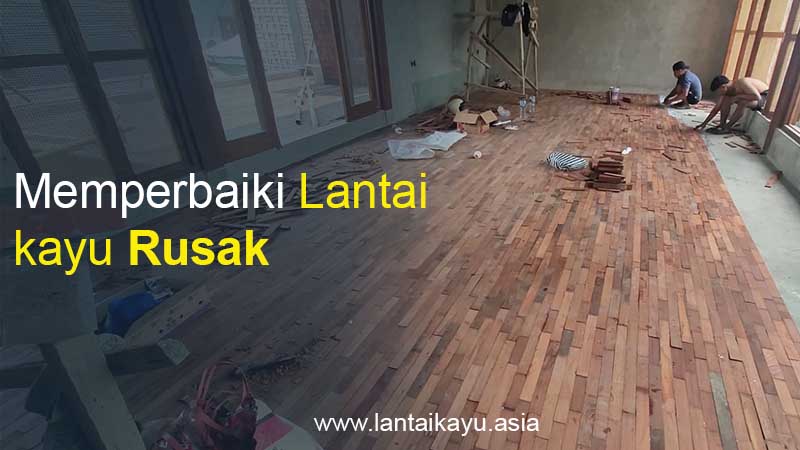 Penyebab & Cara Memperbaiki Parket Kayu Yang Rusak 51 jual lantai kayu parket