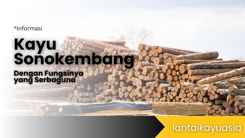 Penasaran Dengan Kayu Sonokembang? 26 kayu sonokembang