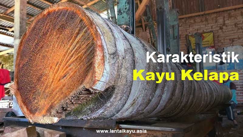 Mengenal Karakteristik dan Keunggulan Kayu Kelapa 2 karakteristik kayu kelapa