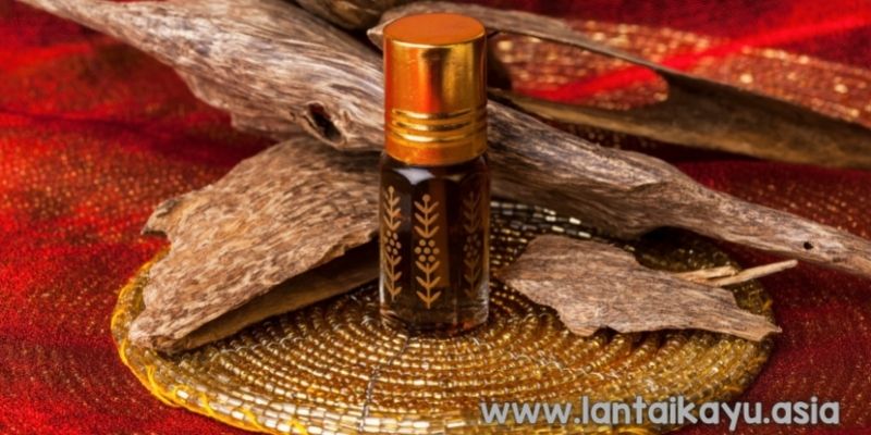 Mengapa Kayu Gaharu Menjadi Primadona di Pasar Global? 24 Manfaat Kayu Gaharu