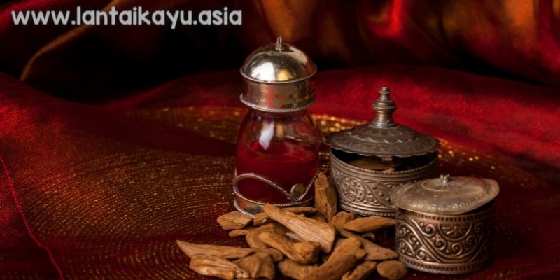 Mengapa Kayu Gaharu Menjadi Primadona di Pasar Global? 26 Manfaat Kayu Gaharu