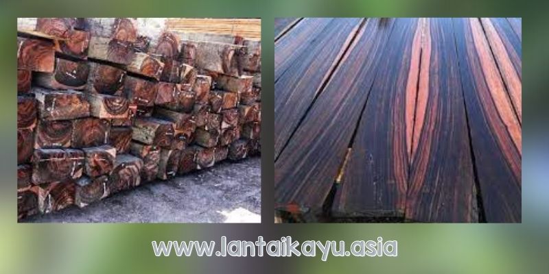 Keunggulan Kayu Ebony