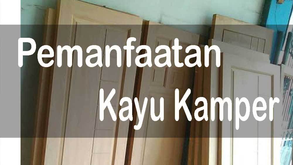 Mengenal Kayu Kamper, Material Furnitur Tahan Rayap 24 kayu kamper pemanfaatnya