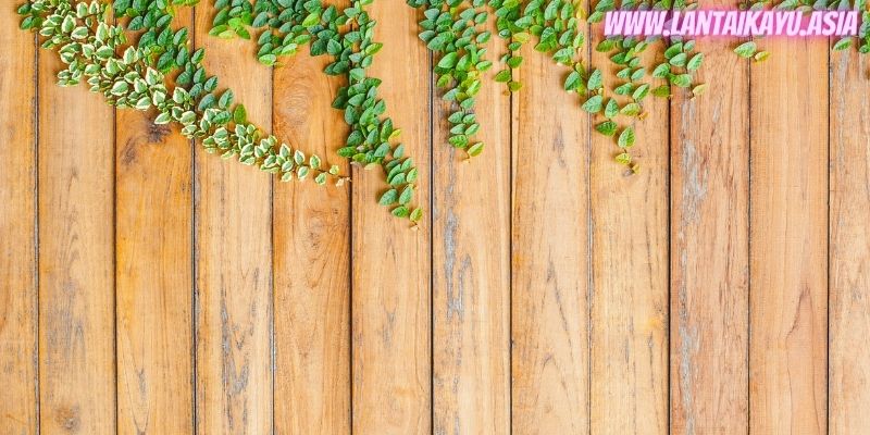 10 Contoh Pagar Kayu Minimalis & Rekomendasi Material 27 10 Model Pagar Kayu Minimalis Untuk Rumah - kombinasi pagar kayu dengan tanaman