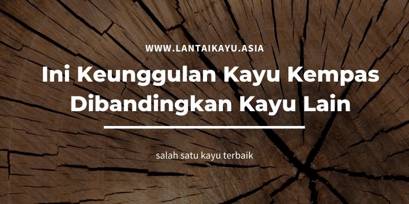Ini Keunggulan Kayu Kempas Dibanding Kayu Lainnya 2 Ini Keunggulan Kayu Kempas Dibandingkan Kayu Lain