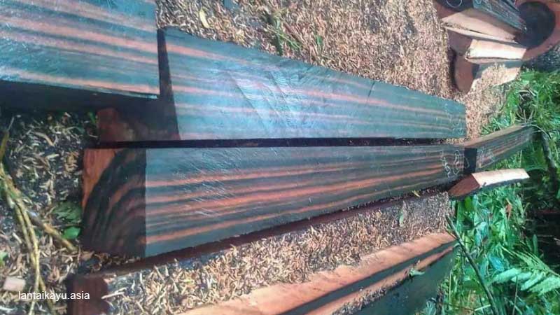 Fakta Menarik Kayu Amara yang Harus Kamu Ketahui 19 Mengenal karakteristik kayu amara