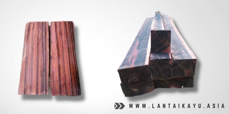 Fakta Menarik Kayu Amara yang Harus Kamu Ketahui 28 tentang kayu amara