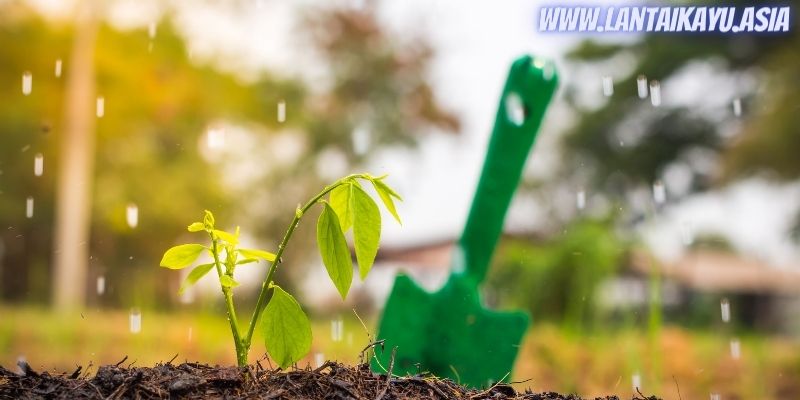 Apa Itu Paranet Pagar? Yuk Kenali Fungsi Dan Harganya 29 fungsi paranet - sebagai penyaring air hujan