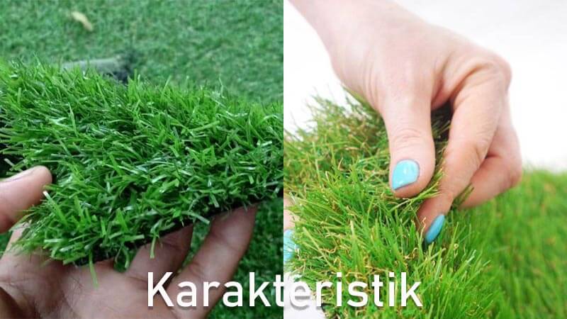 Mengenal Rumput sintetis dan jenisnya
