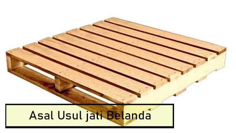 kayu jati belanda palet