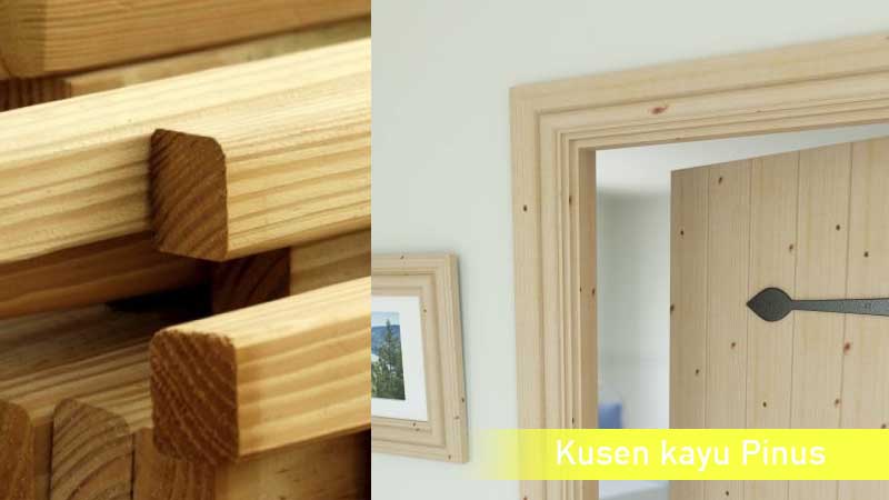 Jenis kayu untuk kusen Pinus