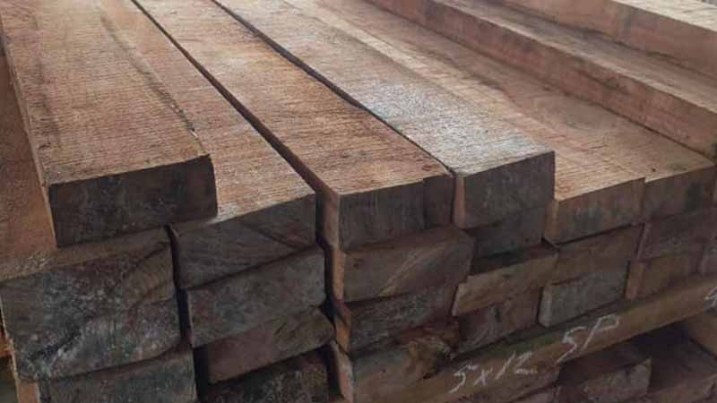 Mengupas Karakteristik Kayu Karet Dan Potensi Yang Dimiliki 24 mengenal karakteristik kayu karet