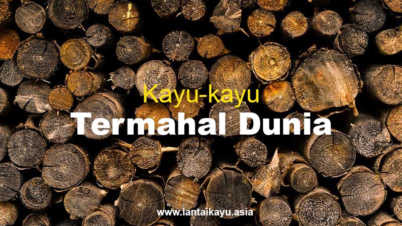 7 Deretan Kayu Termahal Di Dunia, Sampai Setara Emas? 21 kayu termahal di dunia 1