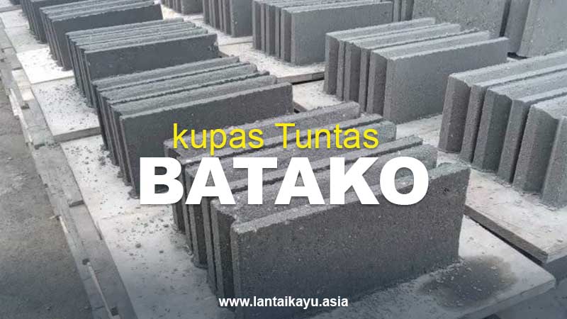 Apakah Batako Bagus Untuk Dinding? Simak Plus Minusnya 2 Mengenal Batako dan kekurangan kelebihannya 1