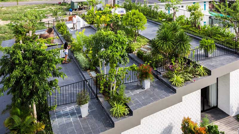 rooftop taman