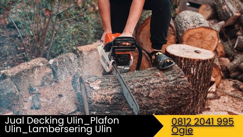 Ingin Gunakan Kayu Ulin? Ketahui Dulu Karakteristiknya 19 kayu ulin sangat keras