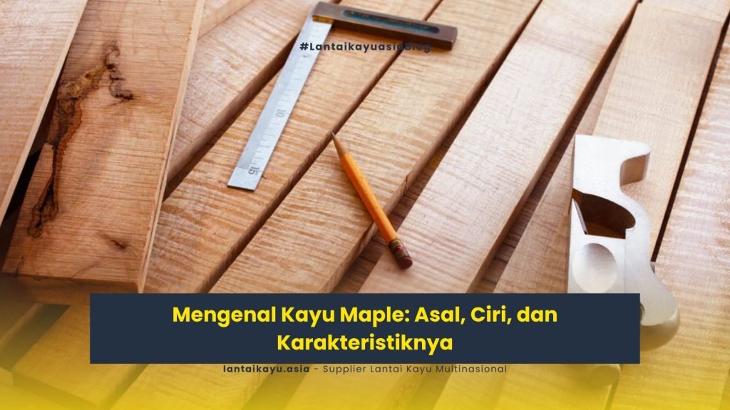 Mengenal Kayu Maple: Asal, Ciri, dan Karakteristiknya 151 Kayu Maple
