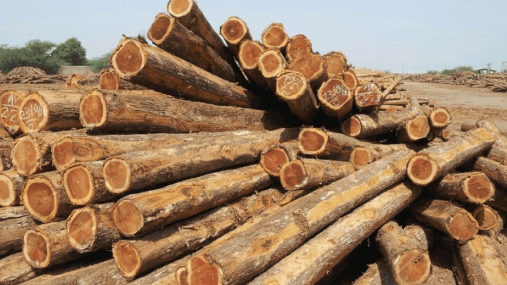 kayu jati