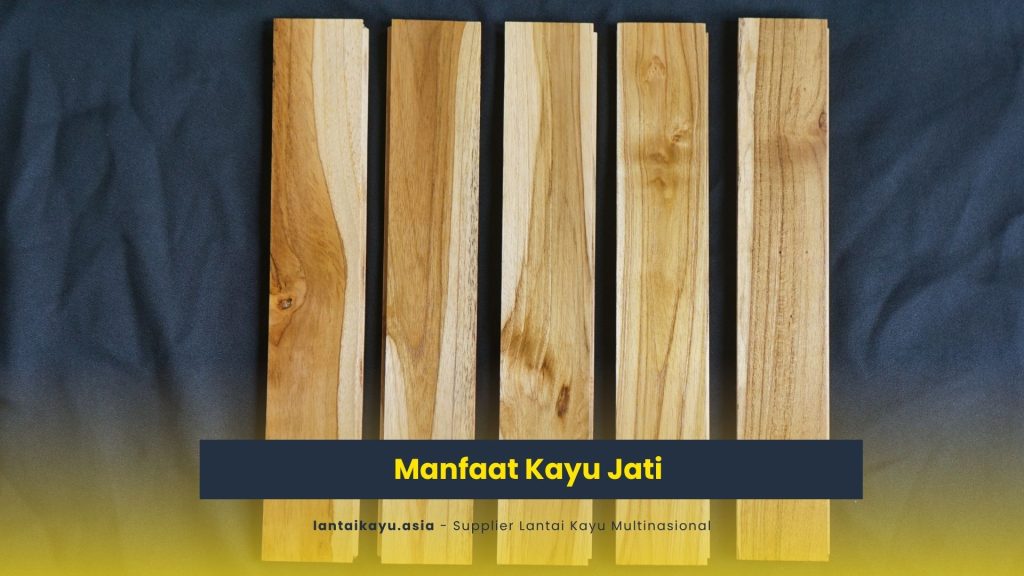 7 Manfaat Kayu Jati Untuk Kebutuhan Sehari - Hari 201 Manfaat Kayu Jati