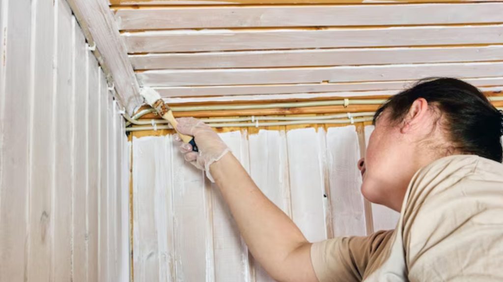 Fakta Kelebihan Dan Kekurangan Lis Plafon Kayu 20 Kekurangan Lis Plafon Kayu